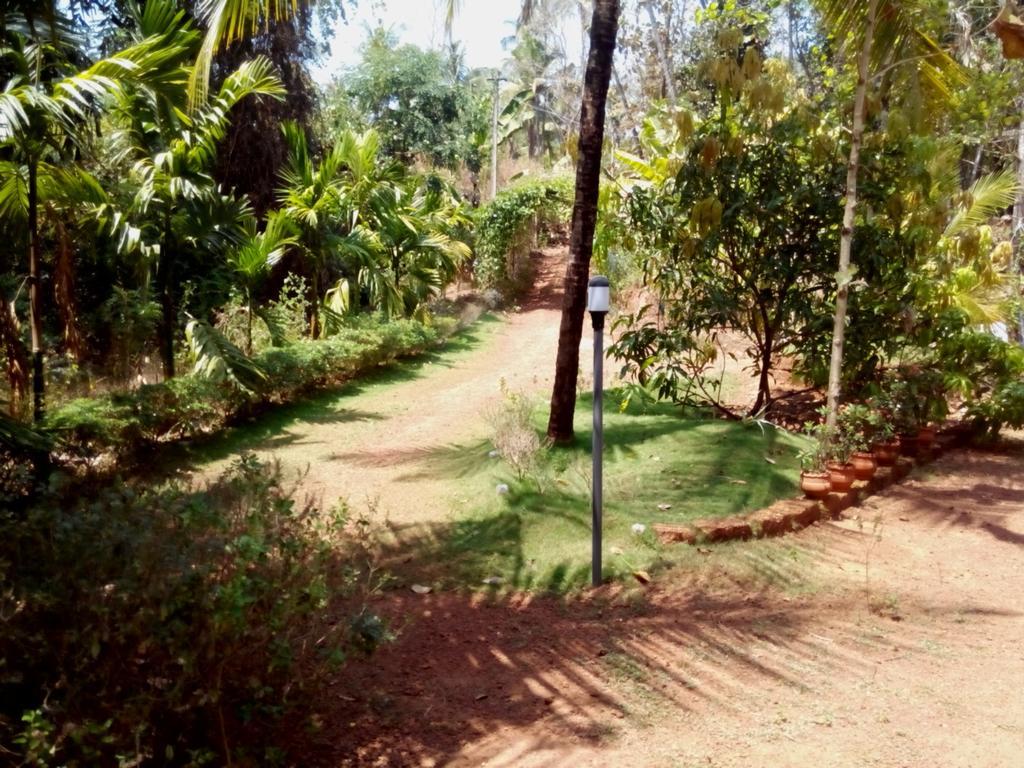 Ocean Green Kerala Kannur Buitenkant foto