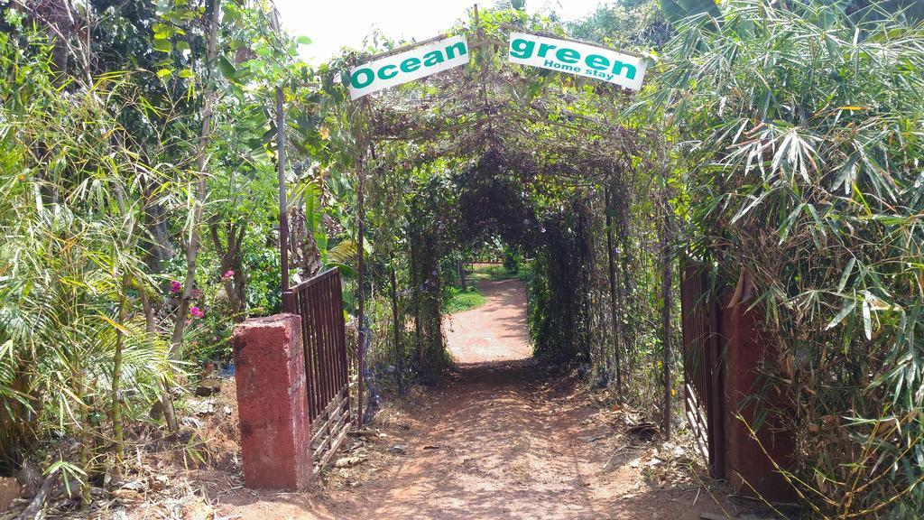 Ocean Green Kerala Kannur Buitenkant foto