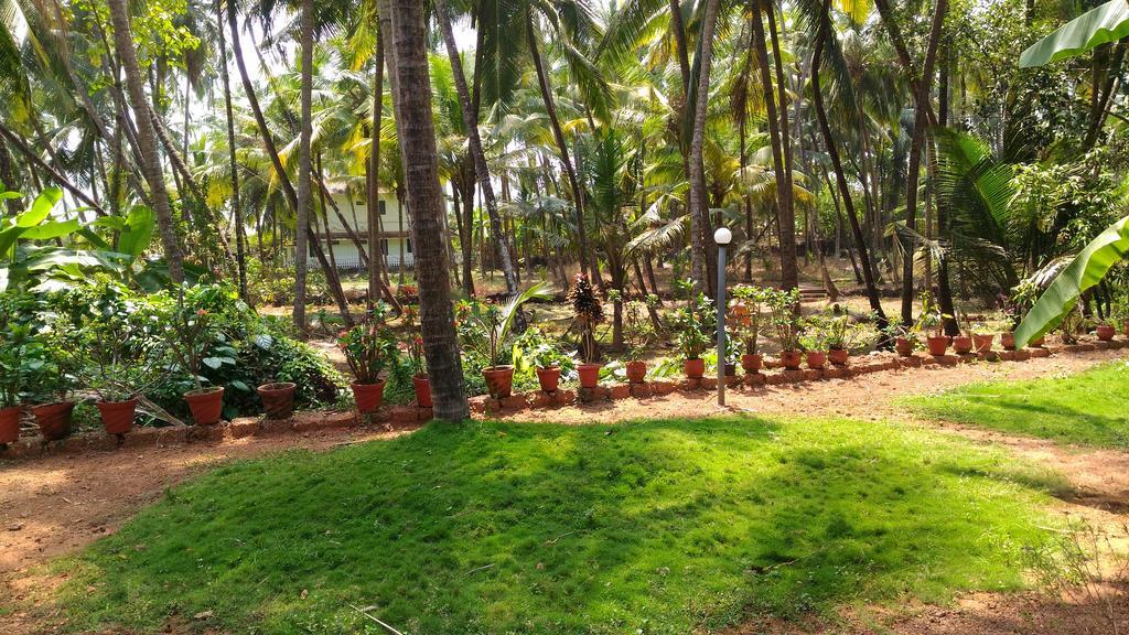Ocean Green Kerala Kannur Buitenkant foto