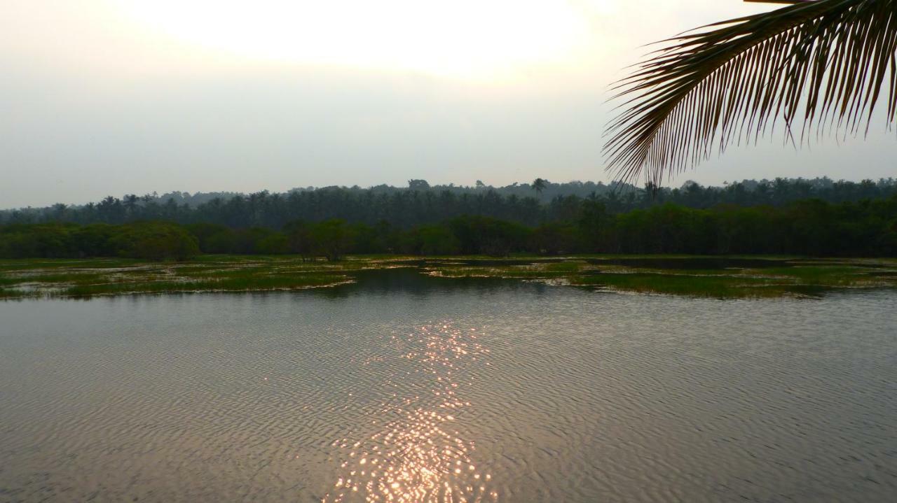 Ocean Green Kerala Kannur Buitenkant foto