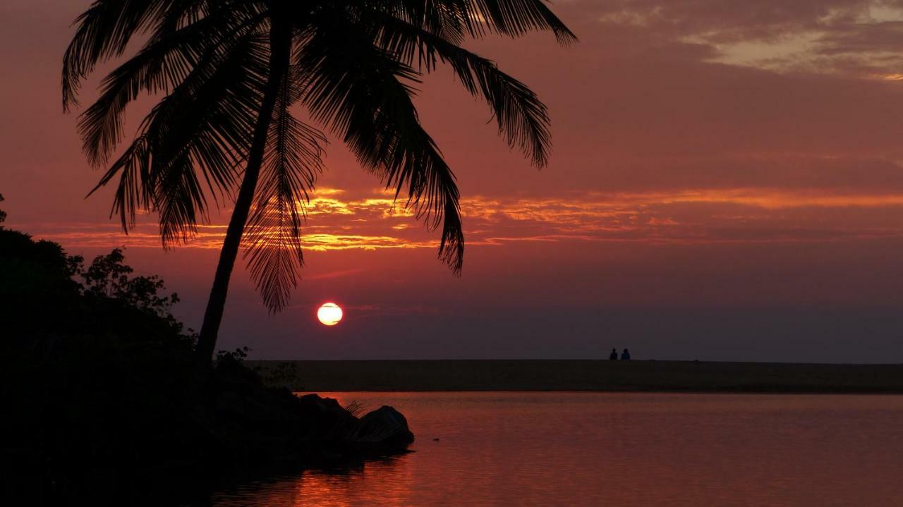 Ocean Green Kerala Kannur Buitenkant foto